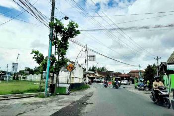 Tanah Dijual Jogja, Lingkungan Asri, Selatan Kampus UMY