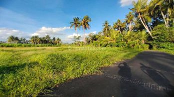 Dijual lahan asri dan nyaman di Ubud view sawah dan gunung
