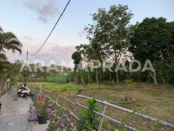 Sewa Tanah Min 2 Are Dekat Canggu Raya Semer Kerobokan