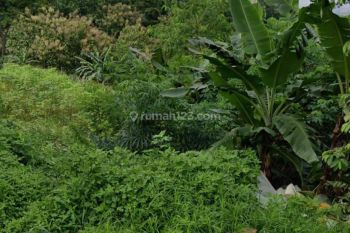 Tanah dijual Jalan Jangli