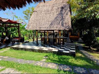 Dijual Ex Restauran Bisa Dibeli Tanah Tanpa Bangunan (joglo) Harga Plus Bangunan