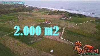 Potensial, Dijual Lahan 20 Are di Selemadeg