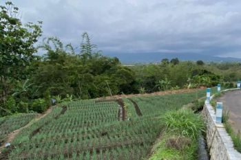 Super Murah Tanah Dengan View Sempurna Strategis di Kota Batu