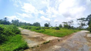 Tanah 1 Jutaan Dekat Bandara YIA Jogja, SHM Siap AJB Notaris