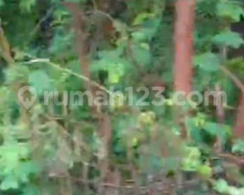 Jual Cepat Tanah Kosong Karangsari Tangerang