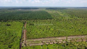 Dijual cepat BU tanah di Mempawah, kalimantan barat, luas 30HA