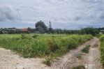 thumbnail-tanah-disewakan-view-sawah-area-canggu-0