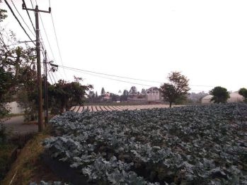 Tanah kavling dalam Komplek Sejuk Setiabudi Regency, Bandung Utara