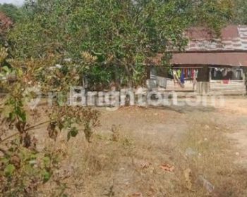 TANAH SELUAS 5.000 METER DI JL PARIT INDRALAYA UTARA