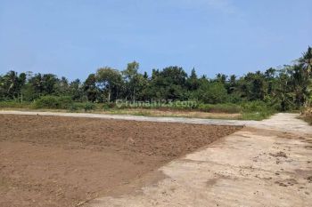 Tanah Cluster Di Kumpulsari Ngombol Purworejo Dkat Jalan Daendels