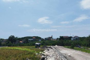 Tanah di Jalan Raya Kedampang, Badung 3 are
