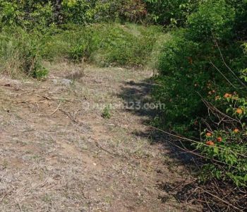 Nusa Penida Land For Sale