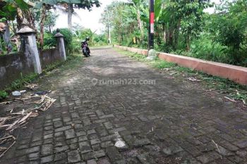 Tanah Dijual Murah SHM Pekarangan Siap Balik Nama Timur Pasar Rejodani