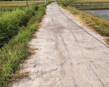 Dijual Tanah View Sawah Di Belalang, Kediri, Tabanan, Bali. Dekat Tanah