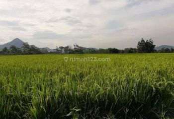 Jual Tanah Luas Murah Dekat Pintu Tol Margaasih Sayap Taman Kopo