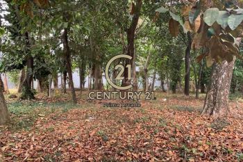 Avling Luas Kotak Datar Siap Bangun  Di Lokasi Strategis