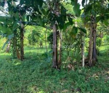 DIJUAL MURAH TANAH BONUS RUMAH DI CIKALONG WETAN, BANDUNG, JAWA BARAT