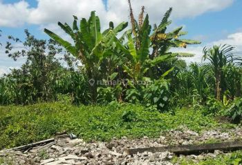 Tanah Sewa Lokasi Tumbak Bayuh