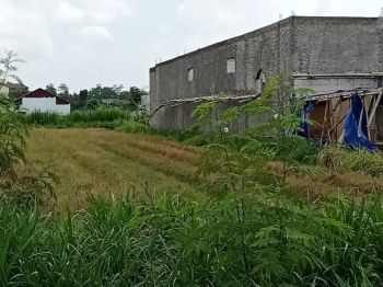 Disewakan tanah kosong