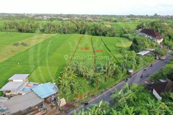 Land For Sale In Buwit, Tabanan, Udb 029