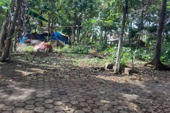 Spesial Tahun Baru; Beli Tanah Dekat Pemda Sleman, SHM Siap Ajb