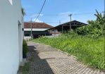 thumbnail-special-offer-land-for-rent-in-bumbak-umalas-5