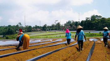 Tanah Cipada Cikalong Wetan Bandung Barat