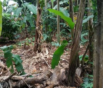 Tanah Siap Bangun 800m Bintaro 3A