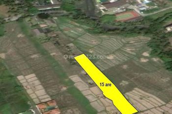 Tanah Sewa Paling Murah di Pantai Seseh, Pg 055