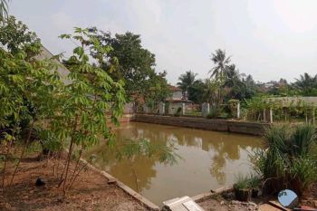 Dijual Tanah Luas Bagus Untuk Investasi