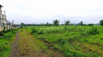Tanah Saptorenggo Pakis Samping Naufal Regency