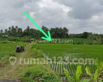 Tanah Di Pantai Nyayi, 7 Are Shm - Sertifikat Hak Milik