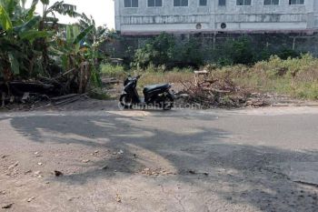 Tanah Strategis Pinggir Jalan Timur UMY Tamantirto Dalam Ringroad