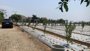 Tanah Murah Lokasi Strategis Dekat Area Kampus, Kota Malang