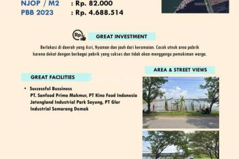 Tanah Industri Loireng Sayung Demak