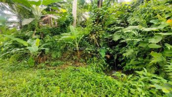 Dijual Lahan murah di Ubud view sawah|sungai|jungle dan sunset