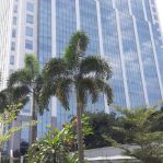 thumbnail-gedung-kantor-office-space-jln-raya-tb-simatupang-jakarta-selatan-0