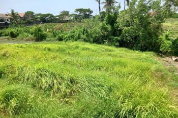 LAND FOR RENT NEARBY MUNGGU BEACH