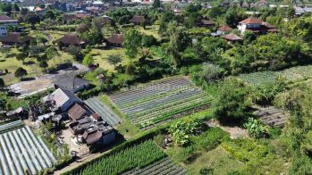 Tanah Murah Dekat Danau Buyan Singaraja Bali