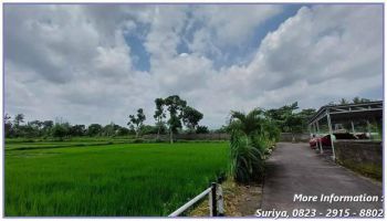 Tanah Jogja Dekat UII Jl Kaliurang