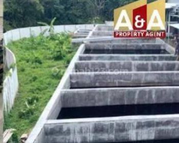 Dijual Pabrik di Wilayah M.yamin Lingkar Utara , Pemalang