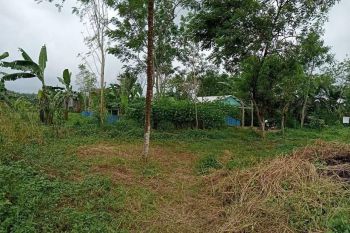 Jual Tanah Wonopringgo, Cocok untuk Bangun Hunian, SHM