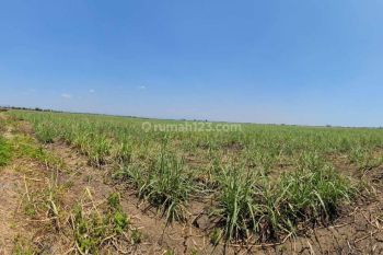 Kavling Industri 11ha