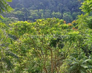 Hunian Siap Bangun Dijual di Dago Bandung