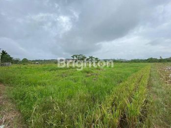 TANAH LUAS 6400 M² DI BANTUAS PALARAN PINGGIR JALAN