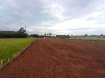 Tanah Legalitas SHM, Bebas Banjir, Tanah Batang