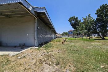 Disewakan Gudang Mranggen 15000 Siap Pakai