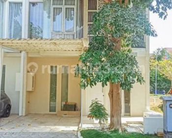 Disewa Rumah Pakuwon City