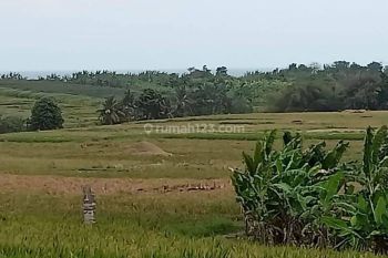 Tanah :900 M2(9 are ) super langka siap Bangun Di pantai kelating kerambitan