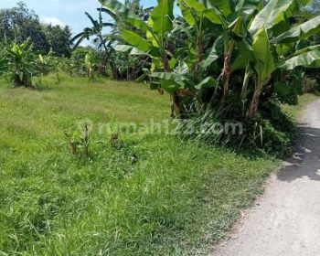 Tanah Dijual Termurah Lokasi di Jalan Pantai Nyanyi